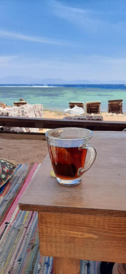 Diamond Dahab House Hotell Exteriör bild